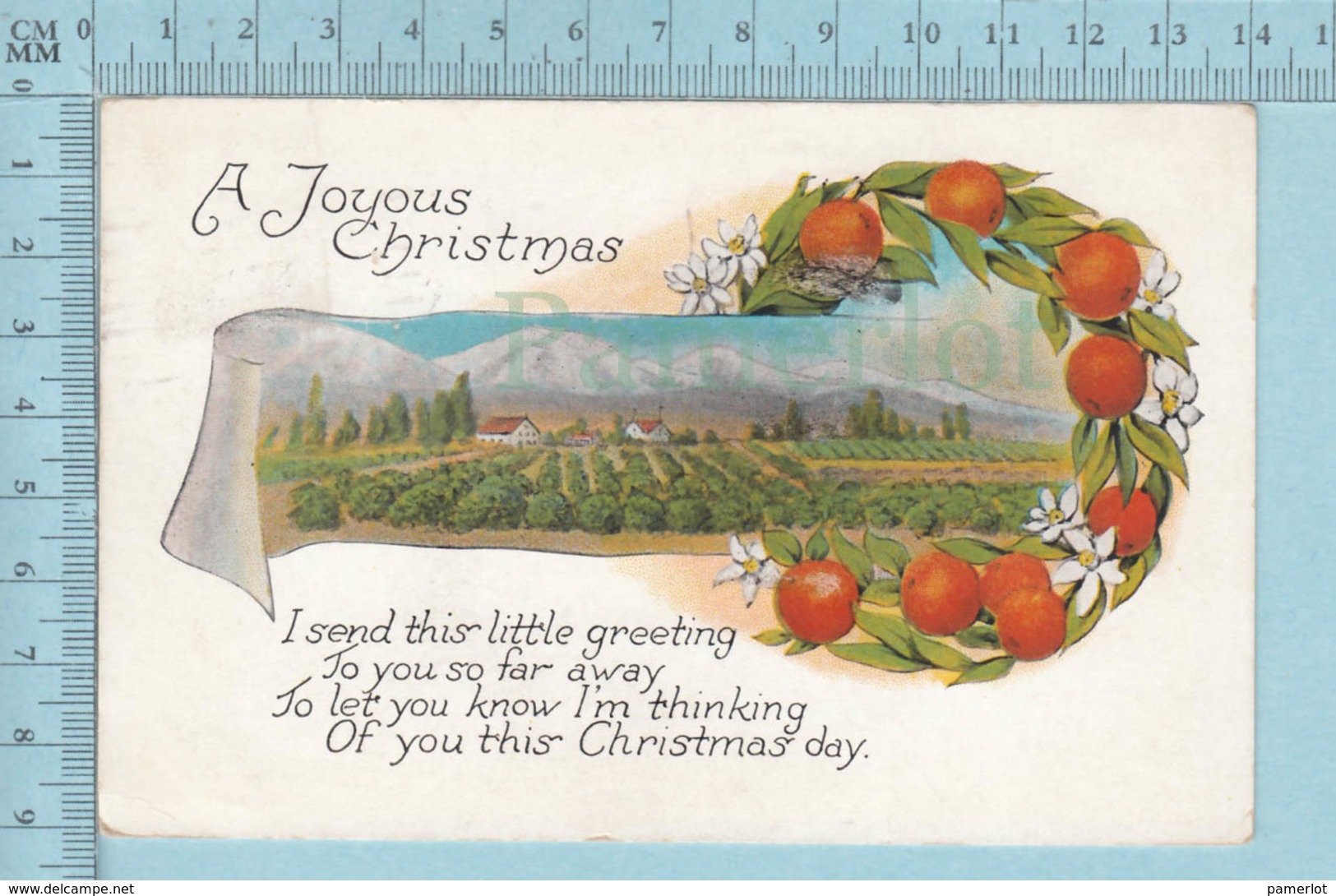 Carte Postale CPA - Christmas, Orange Field  - Used Voyagé En 1926 + USA Stamp, Cover Sandiego C.A. - Autres & Non Classés