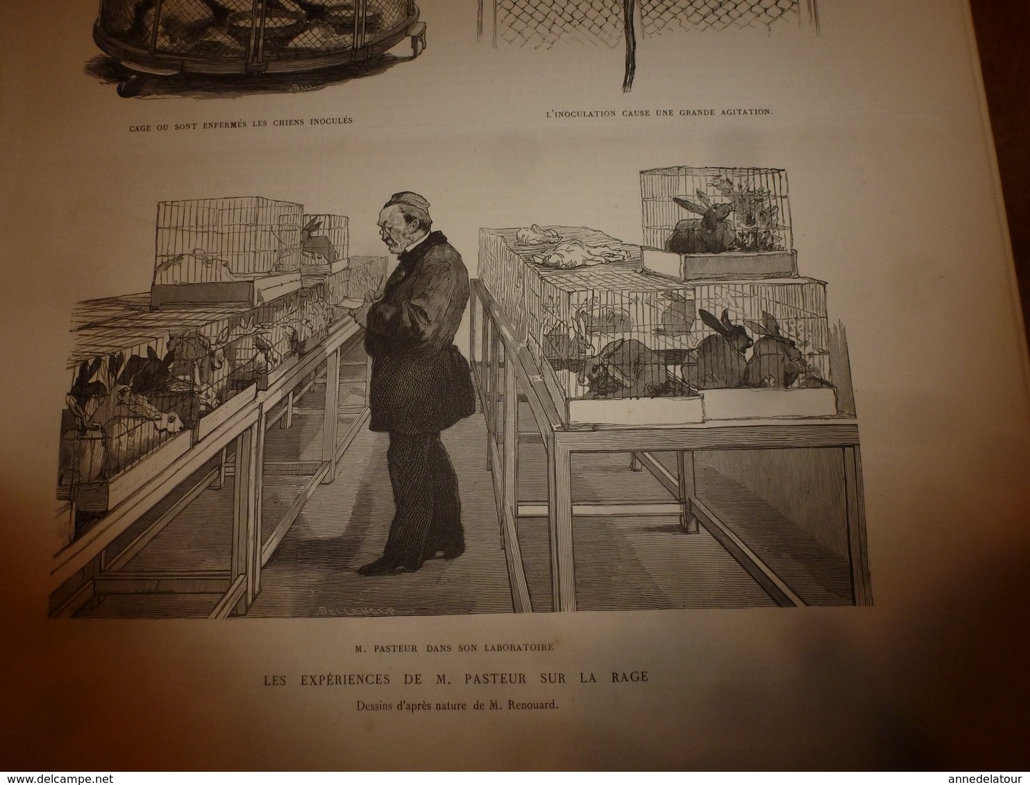 1884 L'ILLUSTRATION: Pasteur Et La Rage; Place De Bruxelles;Pelesh(Roum);Expo Meissonier;Fête Des Félibres à Sceaux;etc - 1850 - 1899