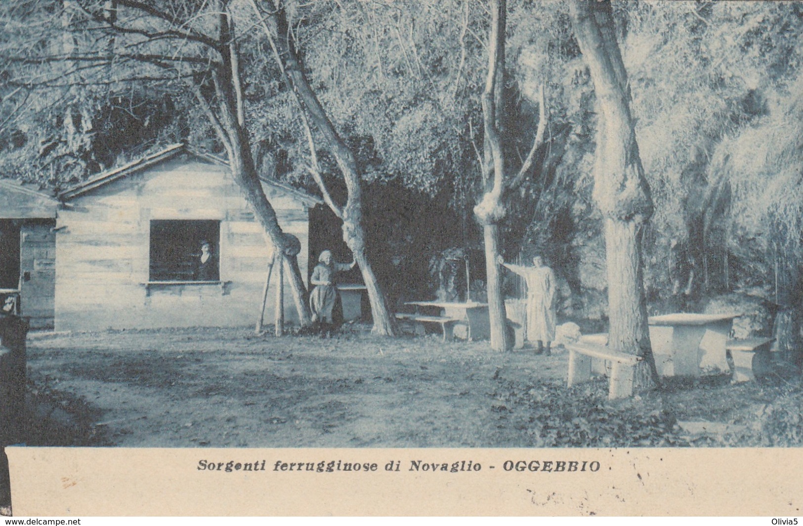 SORGENTI FERRUGGINOSE DI NOVAGLIO - OGGEBBIO - Verbania