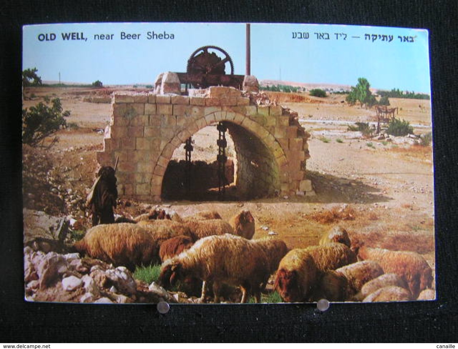 R-198 /  Israel, Old Well  Near Beer Sheba  /  Israël, Vieux Puits Près De Beer Sheba / Circulé - Israel