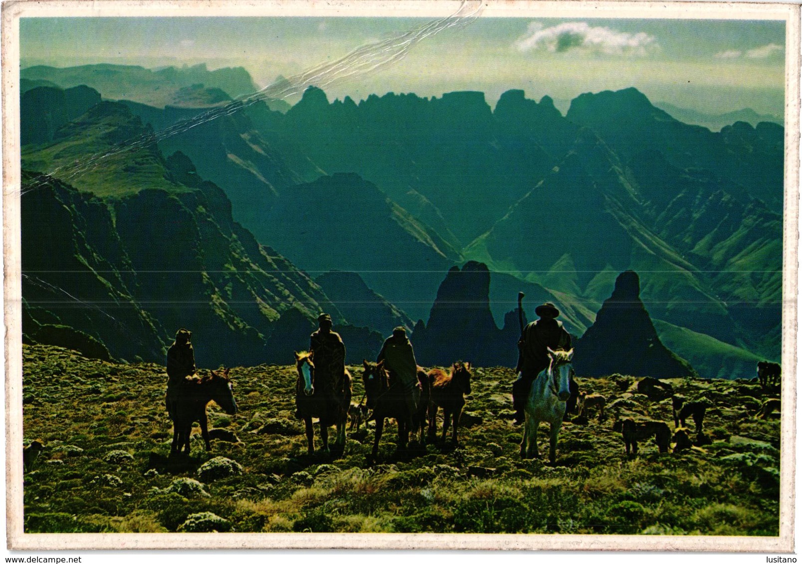 Lesotho - Basuto Hunters - Dog Horse - Chien Cheval - Used Postcard And Stamp Timbre - Lesotho