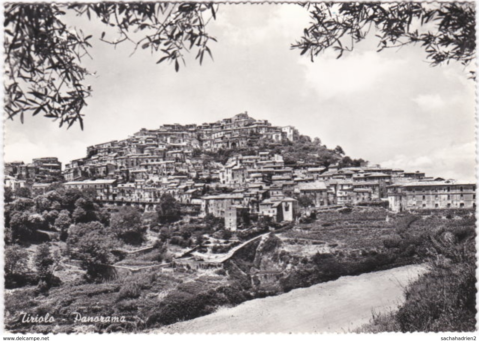 Gf. TIRIOLO. Panorama - Catanzaro