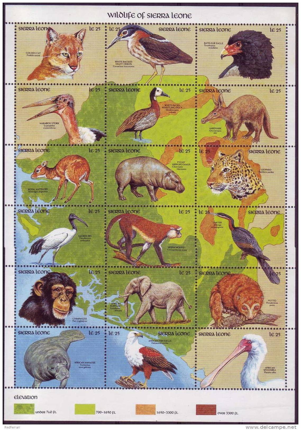 ( 1385 )  Sierra Leone - Fauna - Mammals - Birds - Maritim Mammals - - Other & Unclassified