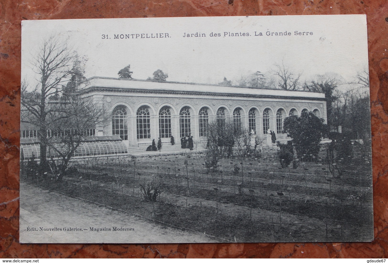 MONTPELLIER (34) - JARDIN DES PLANTES. LA GRANDE SERRE. - Montpellier