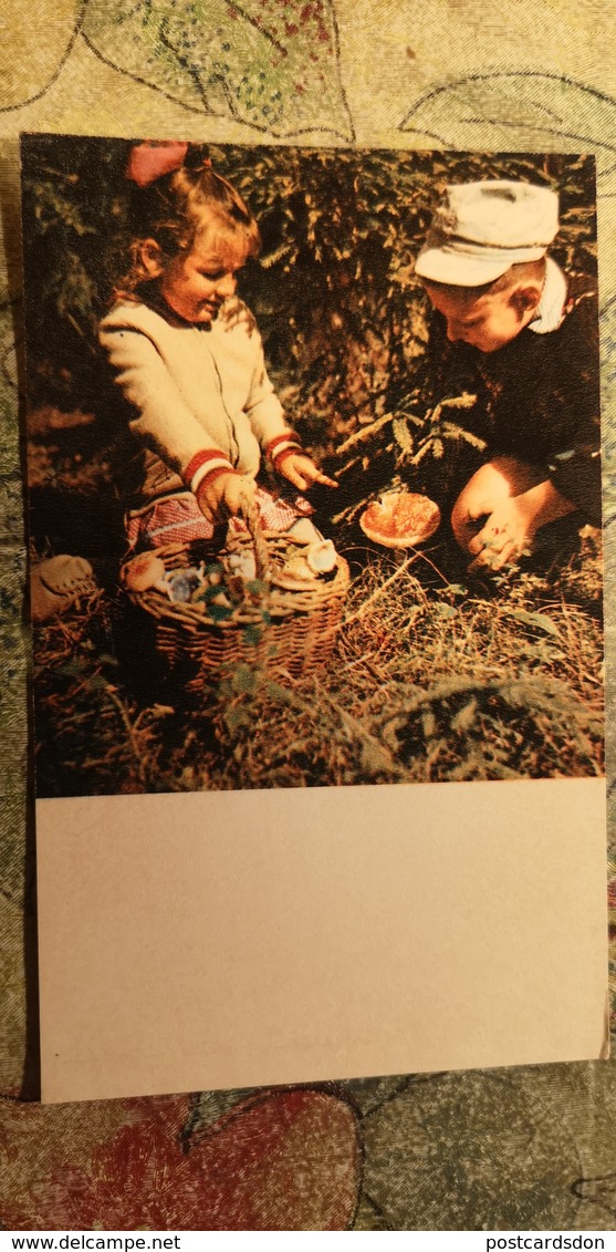 CHILDREN - Mushroomers -  Champignon - OLD Postcard - MUSHROOM 1969 - Champignons