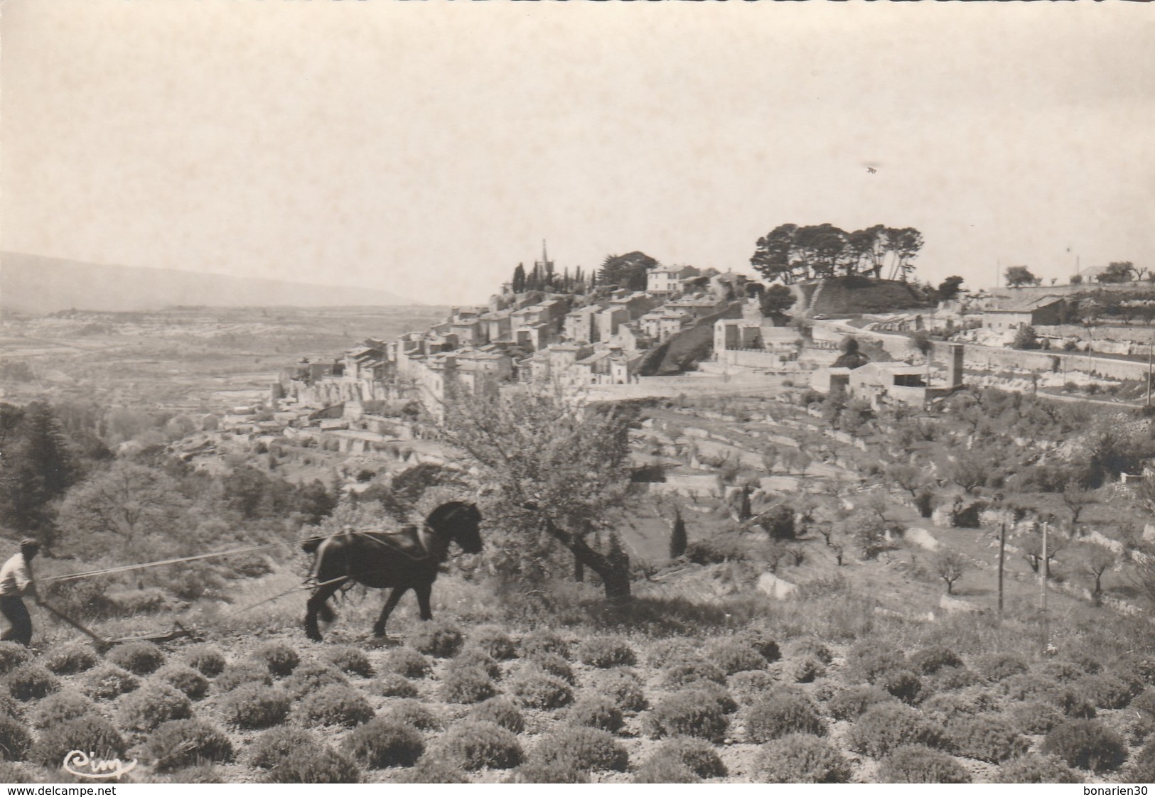 CPA 84  BONNIEUX VUE GENERALE DE LA RTE DE MARSEILLE CHEVAL LABOURANT CHAMP DE LAVANDES - Bonnieux