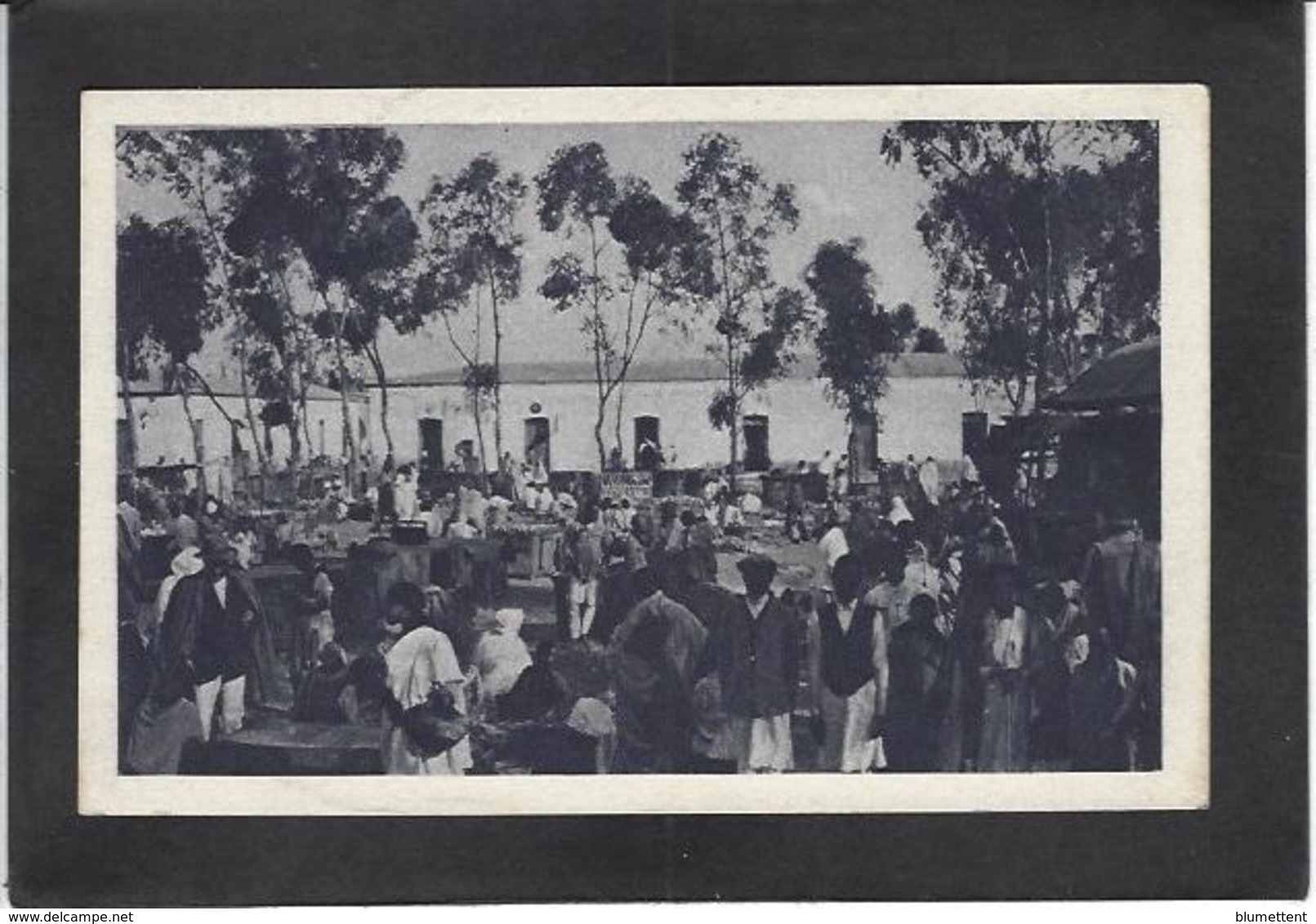 CPA Erythrée Afrique Colonie Italienne Italie Type Ethnic ERITREA Non Circulé Asmara Marché Market - Erythrée