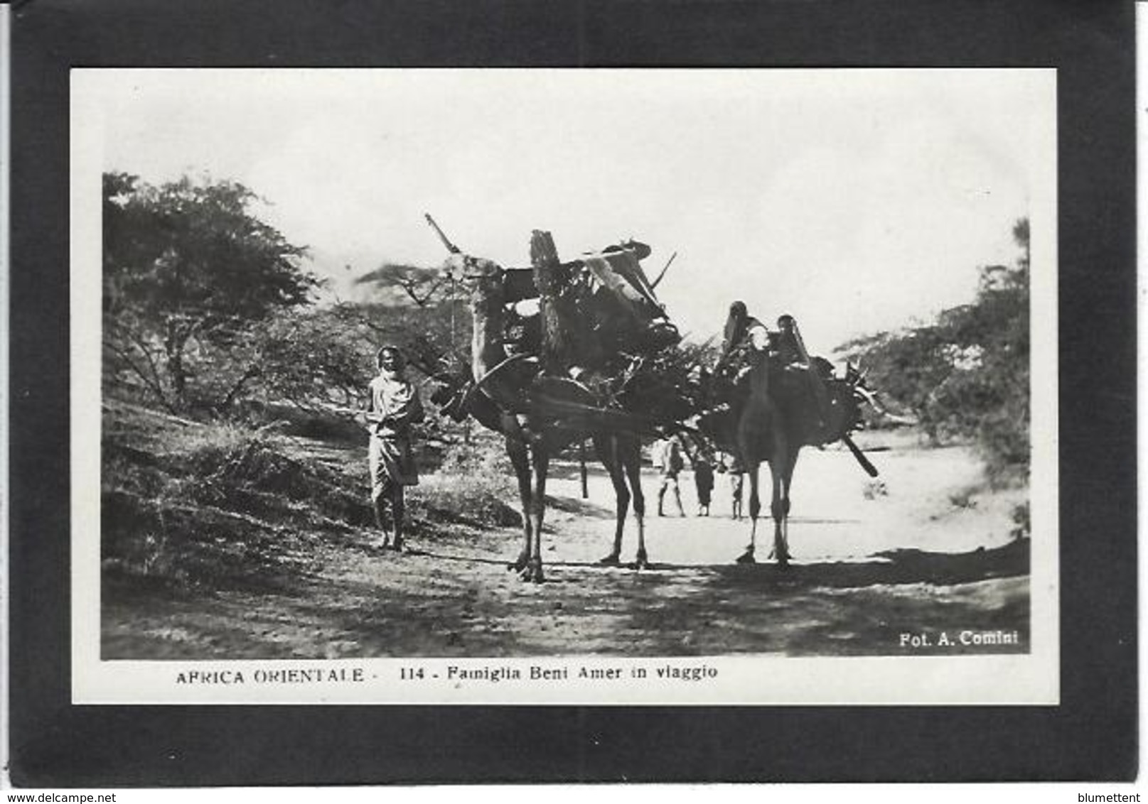 CPA Erythrée Afrique Colonie Italienne Italie Type Ethnic ERITREA Non Circulé - Eritrea