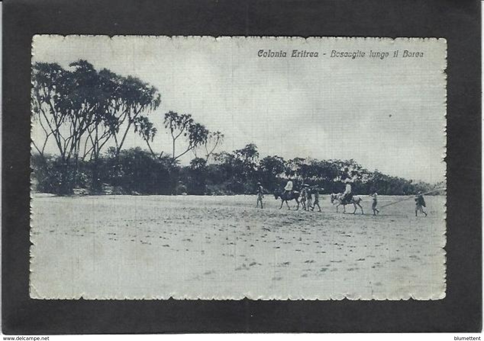 CPA Erythrée Afrique Colonie Italienne Italie Type Ethnic ERITREA Circulé - Eritrea