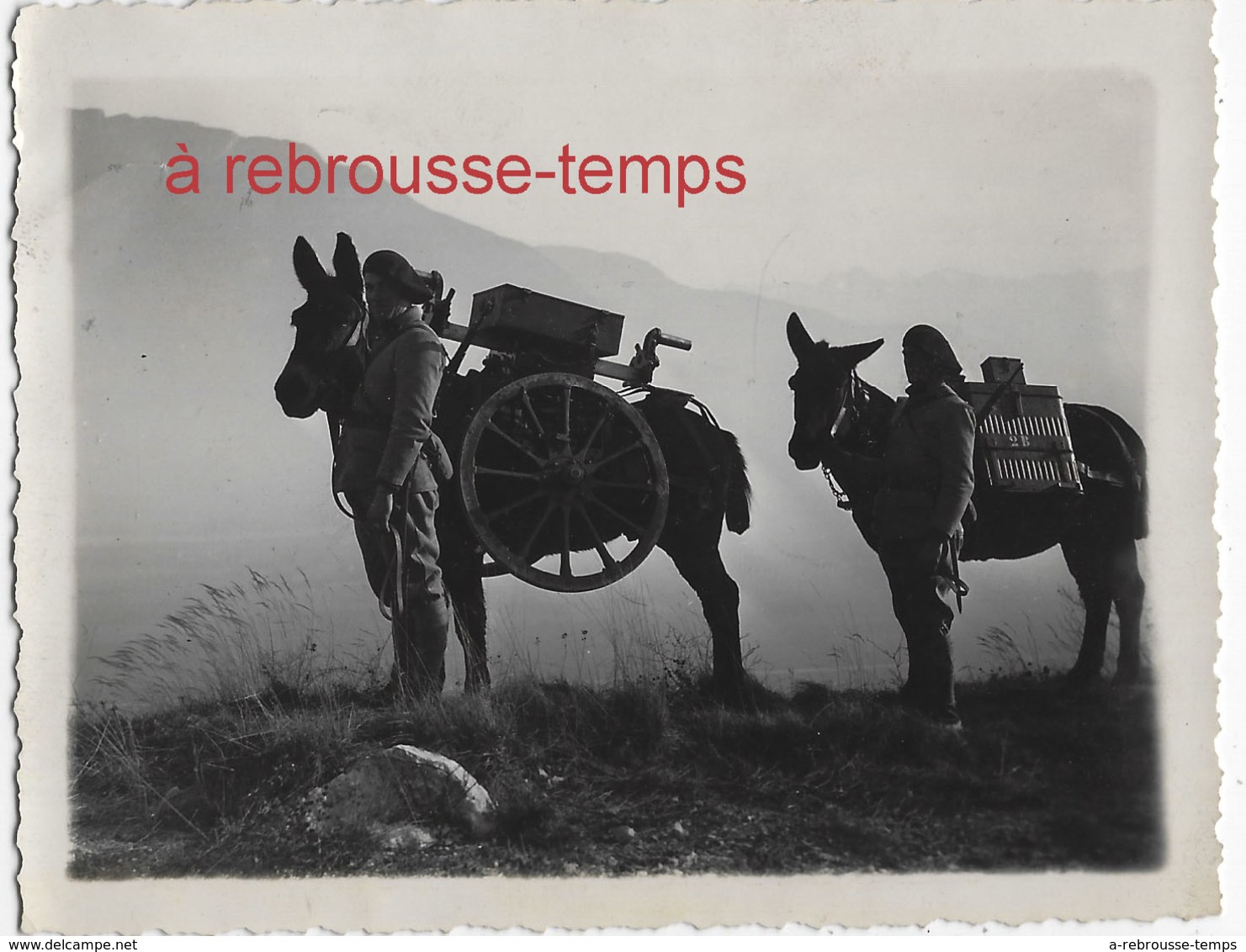 2 Photos-1938-transport Des Armes Par Des Mulets Dans Les Montagnes-n°2 - War, Military