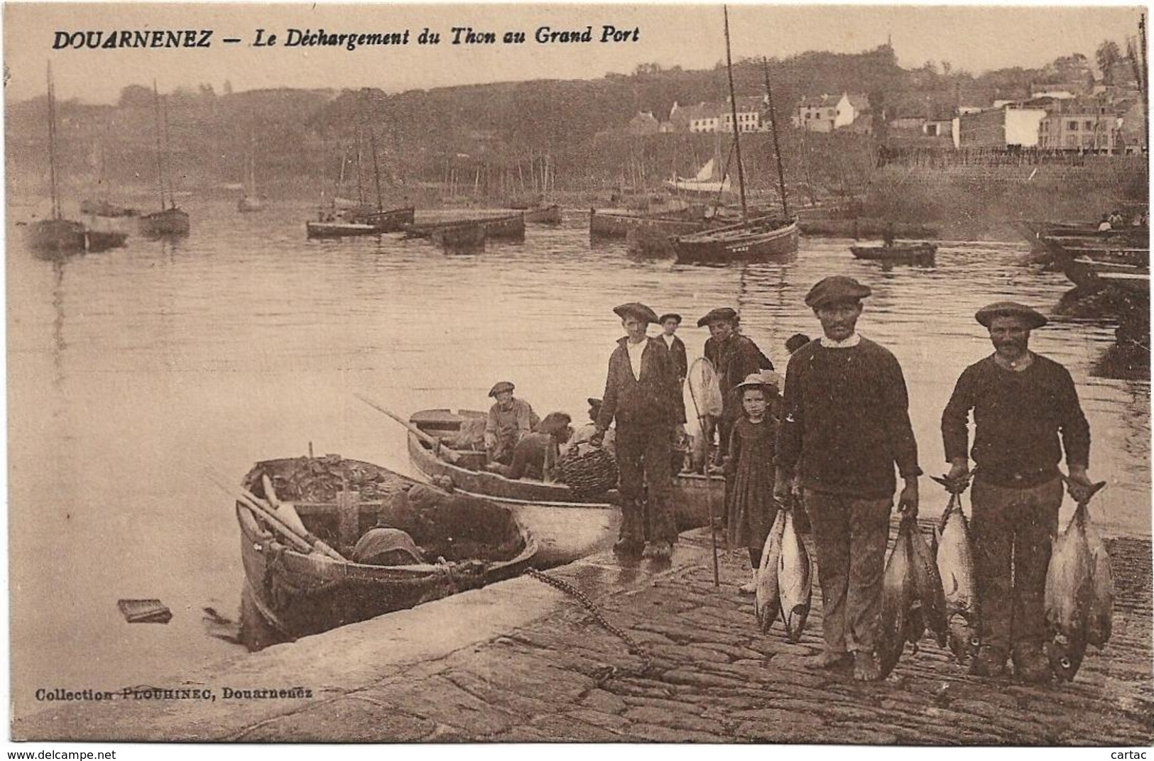 D29 - DOUARNENEZ - LE DECHARGEMENT DU THON AU GRAND PORT -Hommes Et Enfants - Nombreuses Barques - Douarnenez