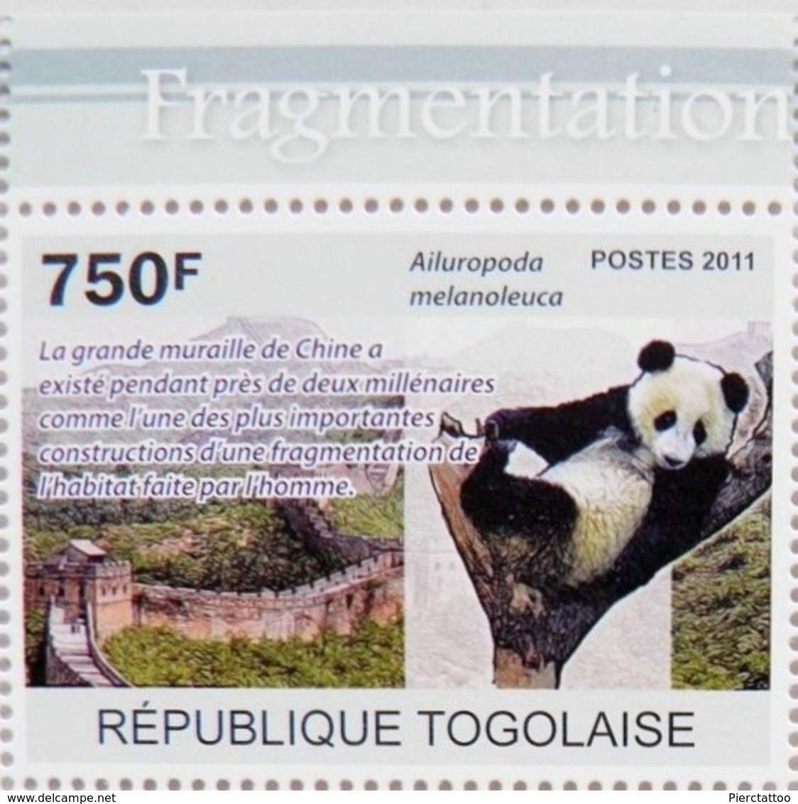 Panda (Animaux) - Togo - 2011 - Togo (1960-...)