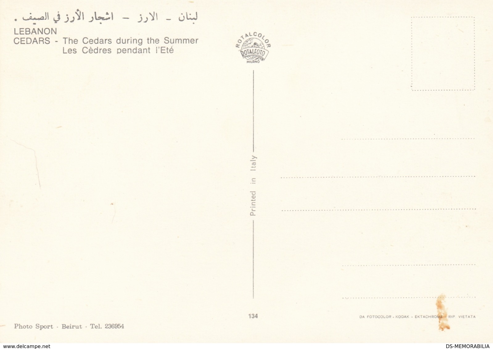 Liban - The Cedars In Summer - Libano