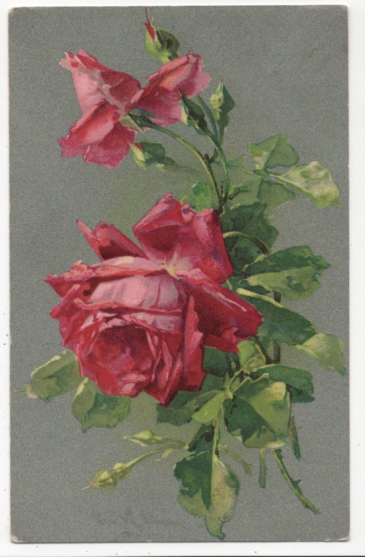C Klein Red Roses Stewart & Woolf 458 Vintage Art Postcard - Klein, Catharina
