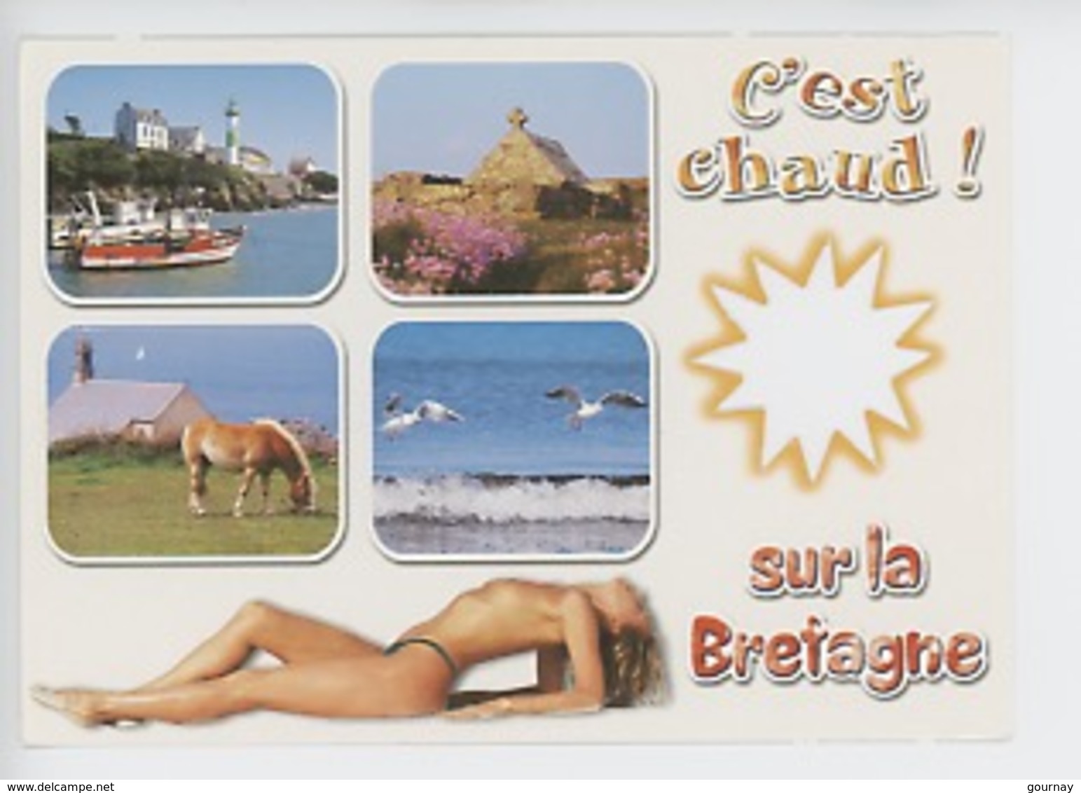 Doëlan "c'est Chaud Sur La Bretagne" Douelan, Pointe Van, Pin Up Nu, Cheval Silhouette Soleil Multivues 29D003 - Sonstige & Ohne Zuordnung