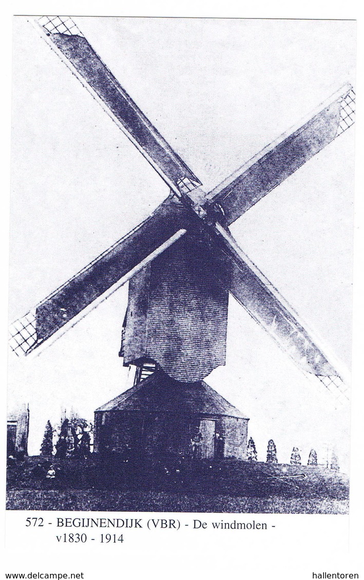 Begijnendijk: De Windmolen (2 Scans) - Begijnendijk