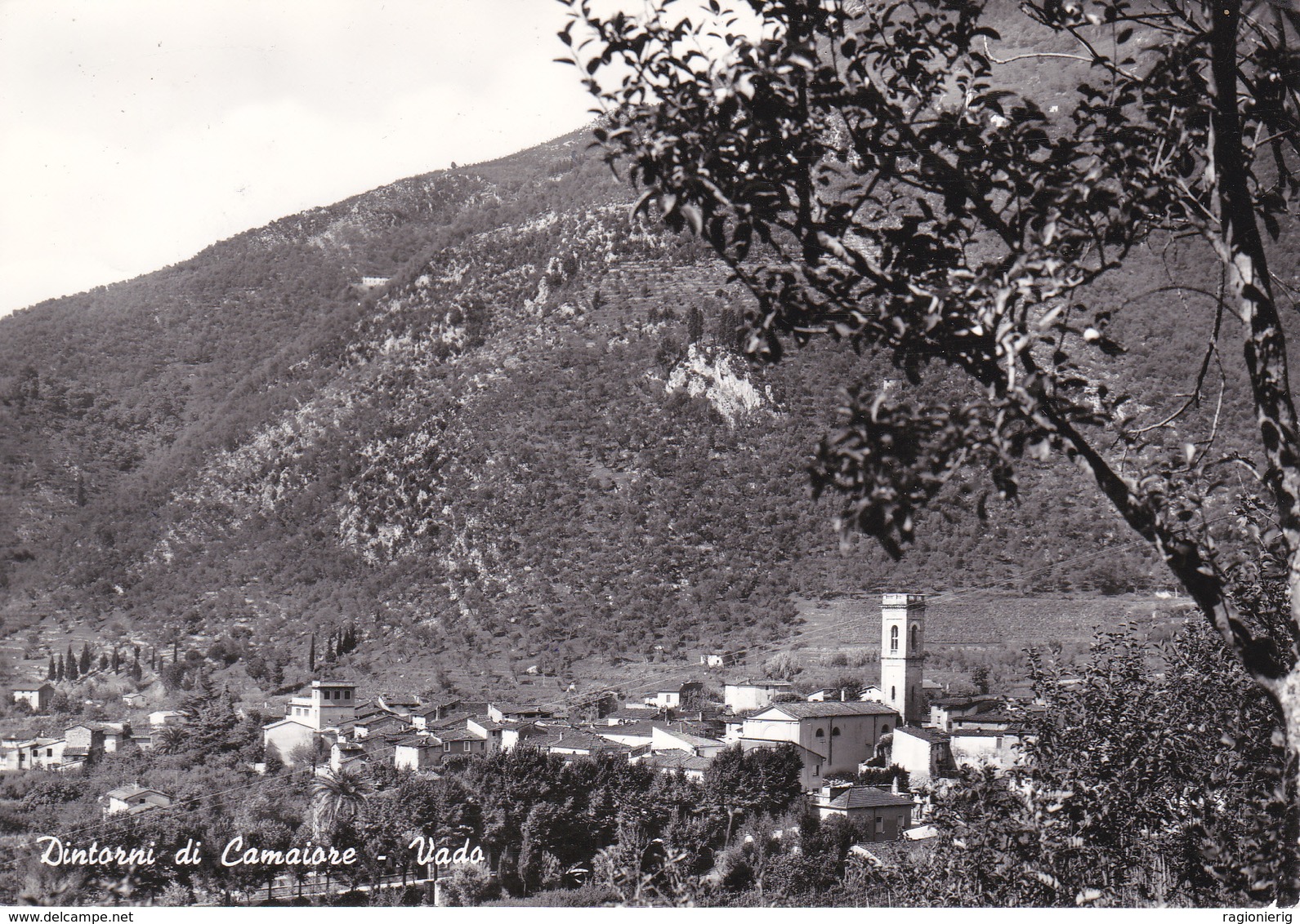 LUCCA - Dintorni Di Camaiore - Panorama Di Vado - 1964 - Lucca