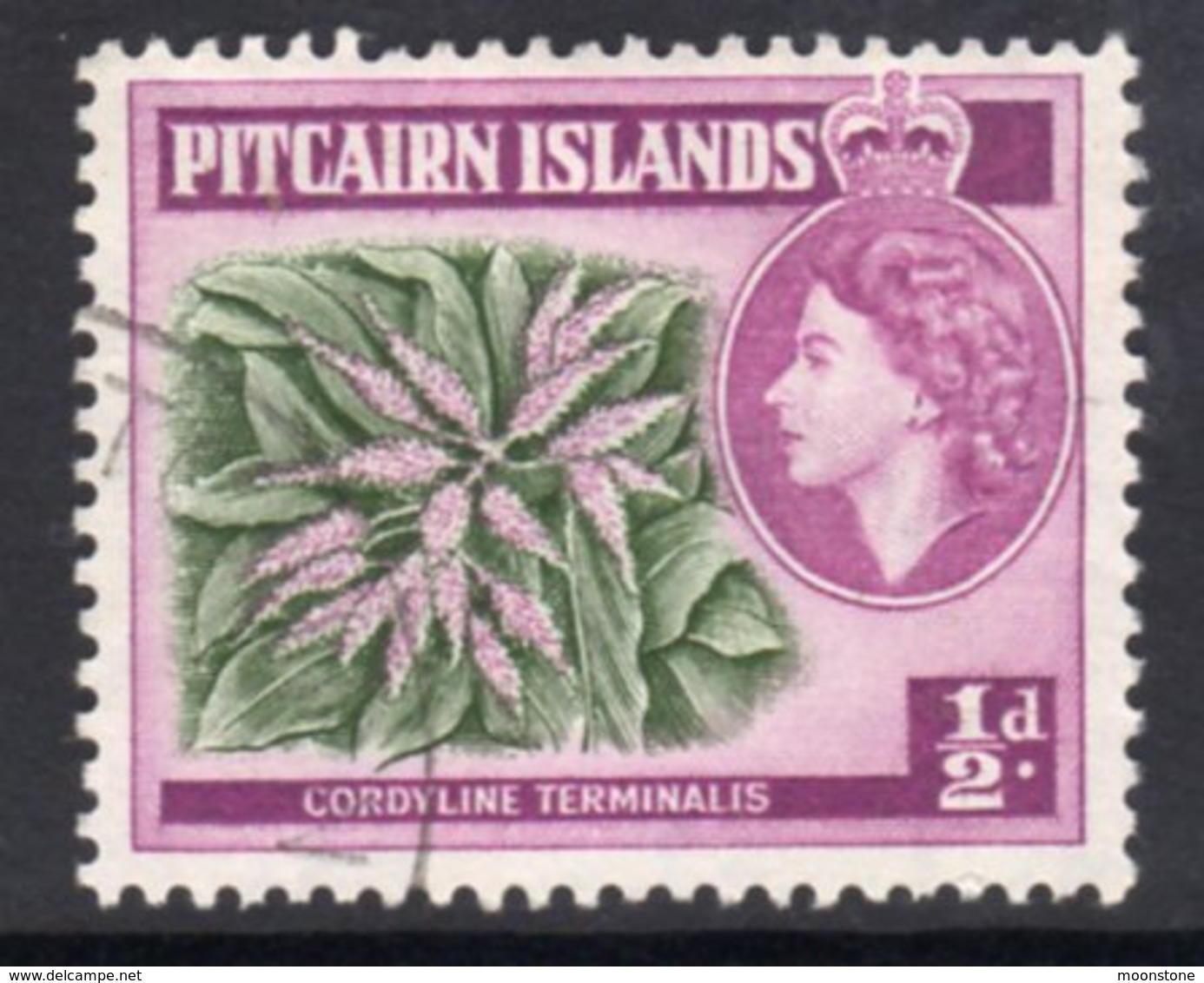 Pitcairn QEII 1957-63 ½d Flowering Plant Definitive, Wmk. Block CA, Used, SG 33 - Pitcairn Islands