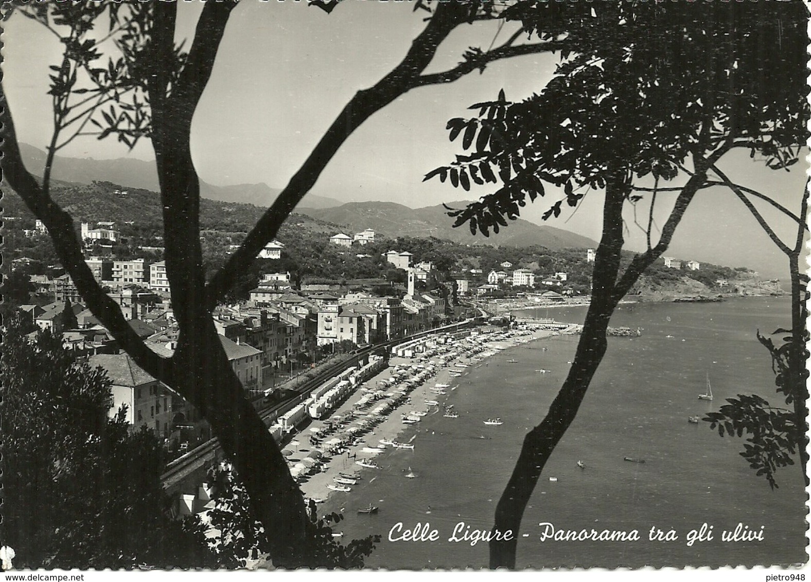 Celle Ligure (Savona) Scorcio Panoramico Da Ponente, Panoramic View From The West - Savona