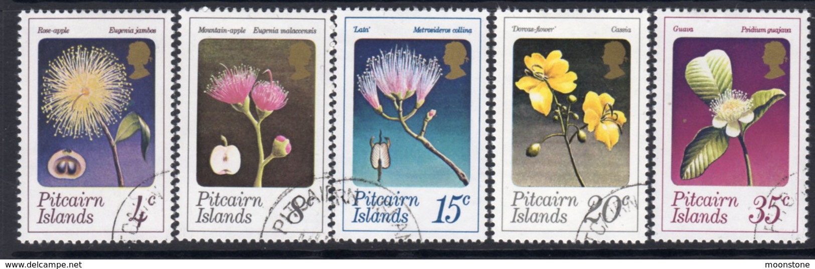 Pitcairn QEII 1973 Flowers Set Of 5, Used, SG 126/30 - Pitcairn Islands