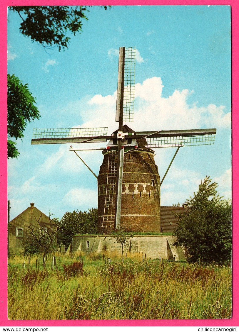 Nederland - Gronsveld - Korenmolen - Torenmolen - Moulin à Blé - Anno 1623 - Moulin à Vent - Molen - 1985 - Eijsden