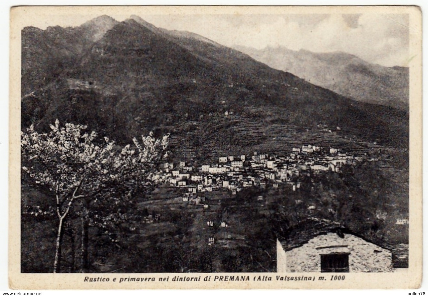 RUSTICO E PRIMAVERA NEI DINTORNI DI PREMANA - ALTA VALSASSINA - LECCO - 1975 - Lecco