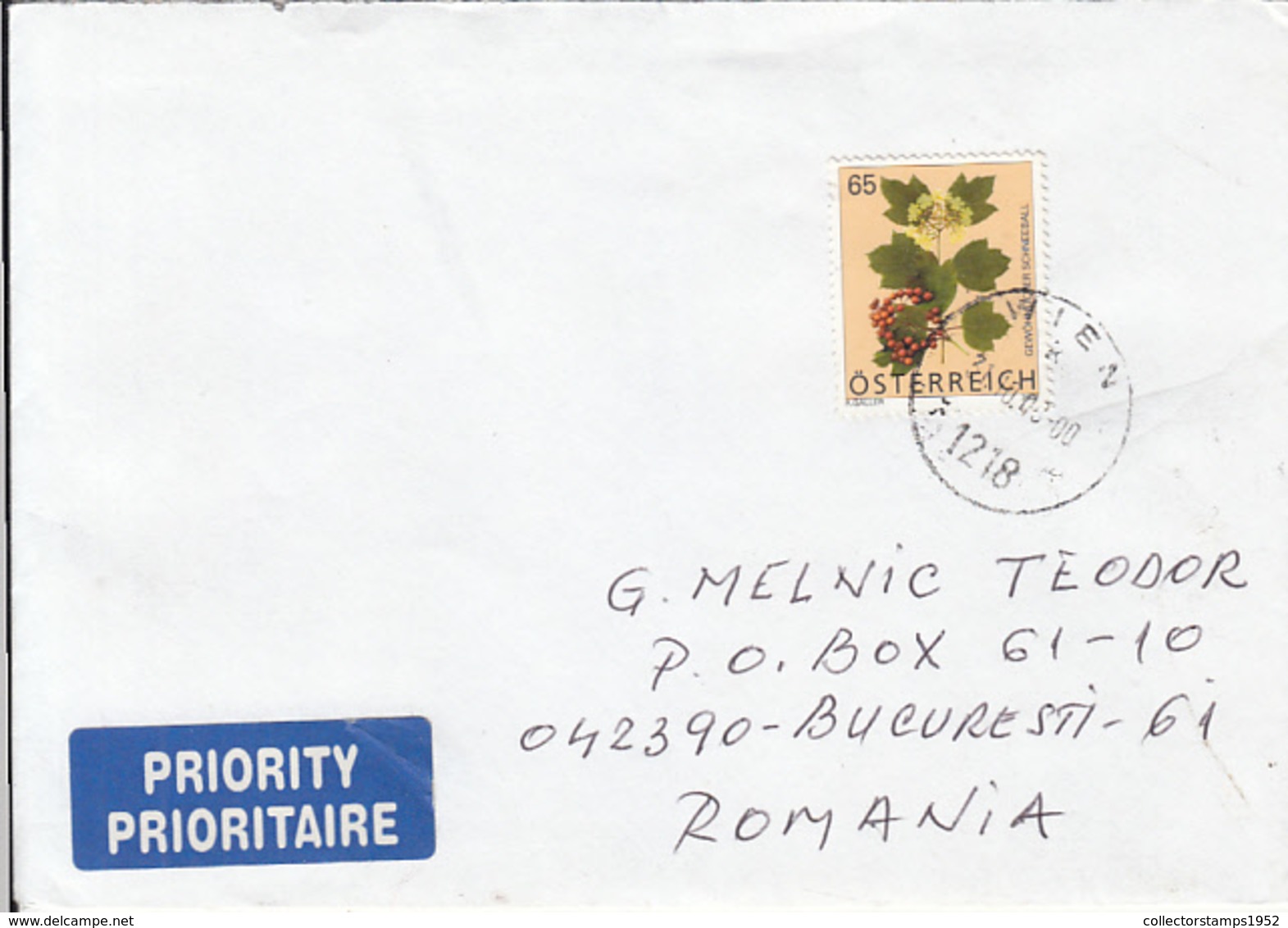 78138- GUELDER ROSE PLANT STAMP ON COVER, 2008, AUSTRIA - Storia Postale