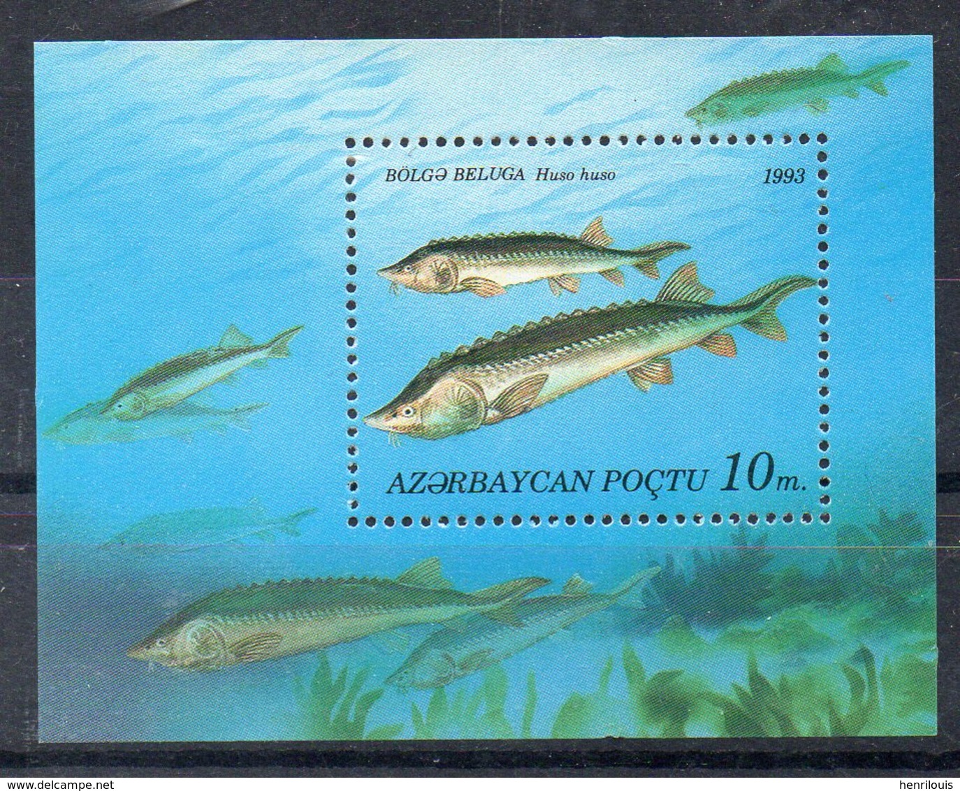 AZERBAIDJAN  Timbres Neufs **  De 1993-1994   ( Ref 6288 ) Animaux - Félins - Poissons -Voir 2 Scans - Azerbaïdjan