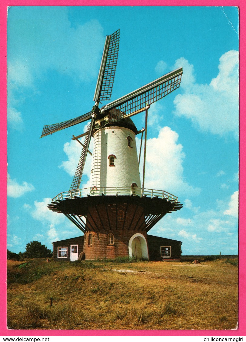 Nederland - Veere - Molen De Koe - Korenmolen - Stellingmolen 1909 - Moulin à Vent - 1977 - Veere