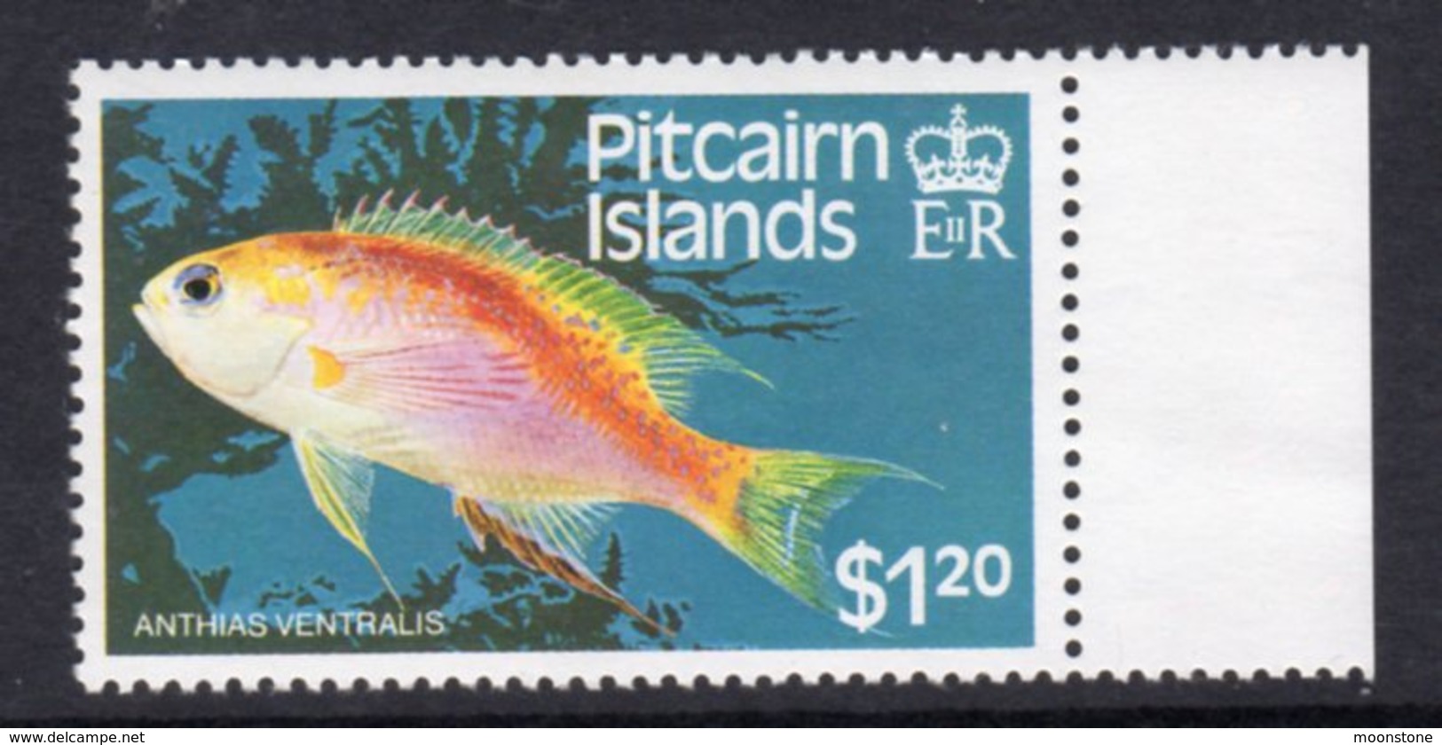 Pitcairn QEII 1984 Fish Definitives $1.20 Value, Wmk. Crown To Right Of CA, MNH, SG 257w - Pitcairn