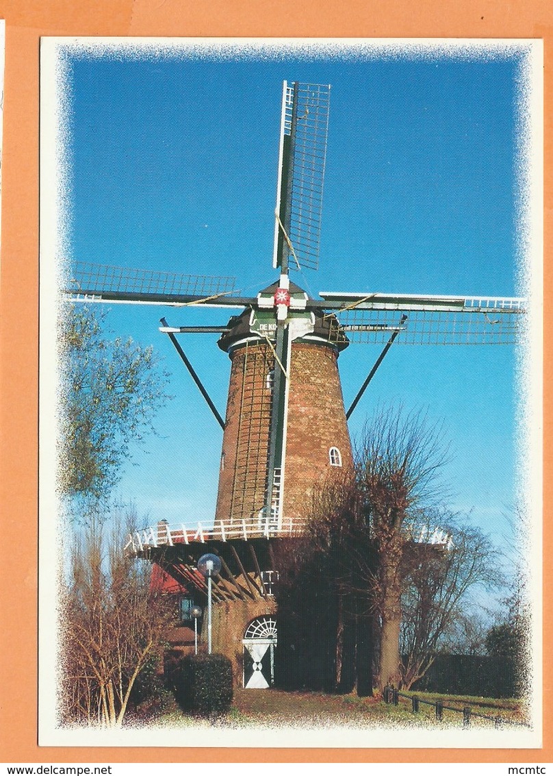 CPM - Goes - Molen :de Koornbloem  -(  Moulin ) - Goes