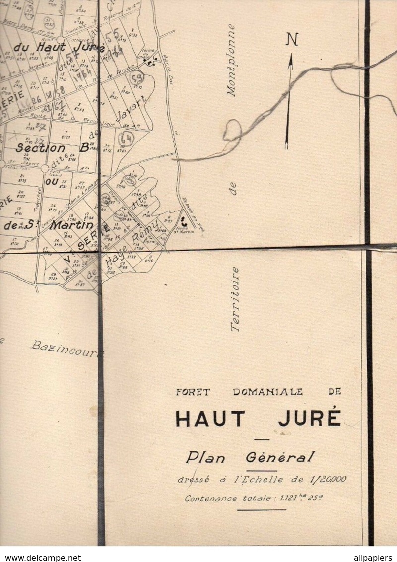 Carte Forêt Domaniale De Haut Juré Plan Général Dressé à L'échelle De 1/20000 - Cartes Topographiques