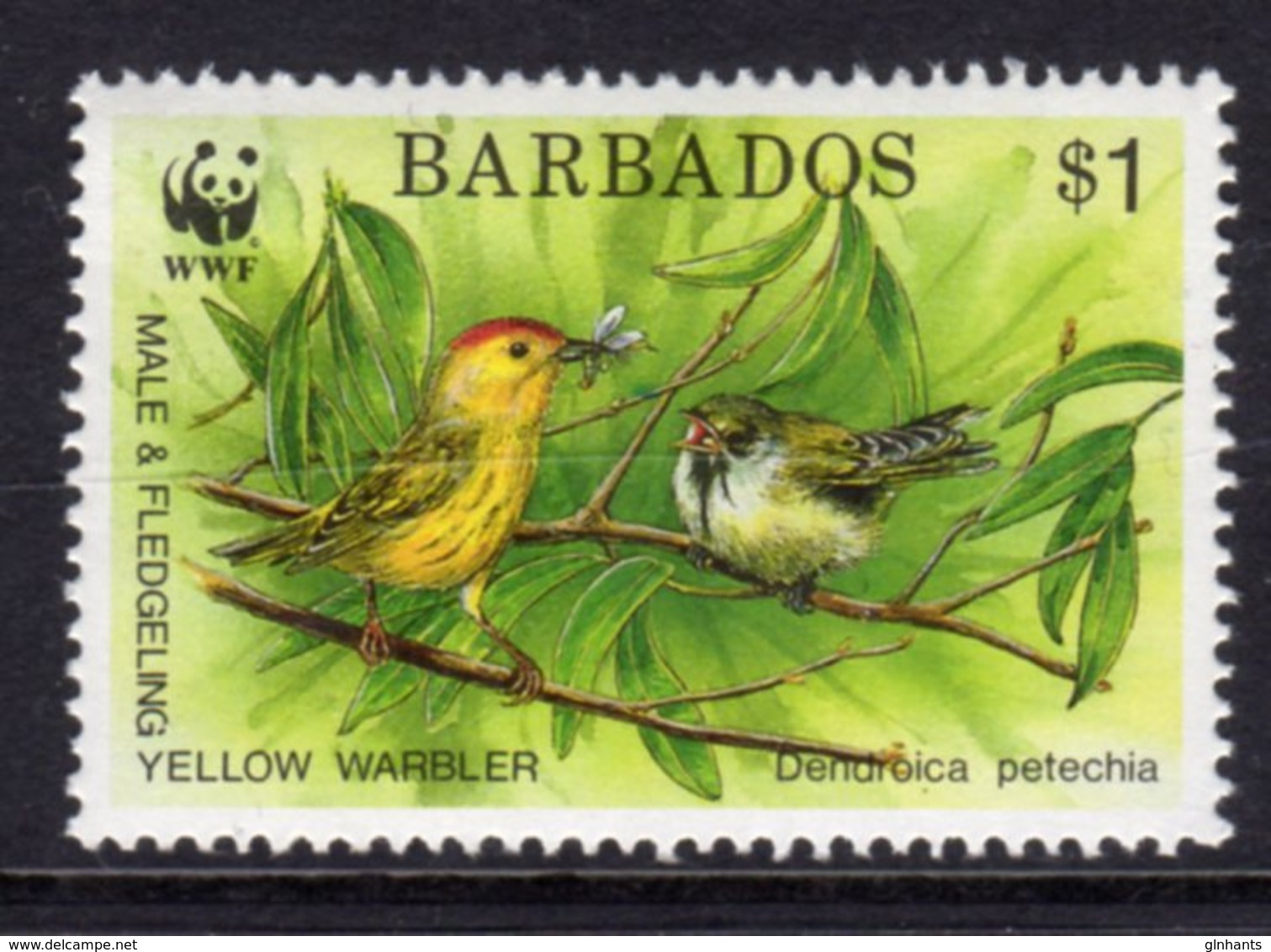 BARBADOS - 1991 ENDANGERED SPECIES WWF $1 WARBLER FINE MNH ** SG 951 - Barbados (1966-...)