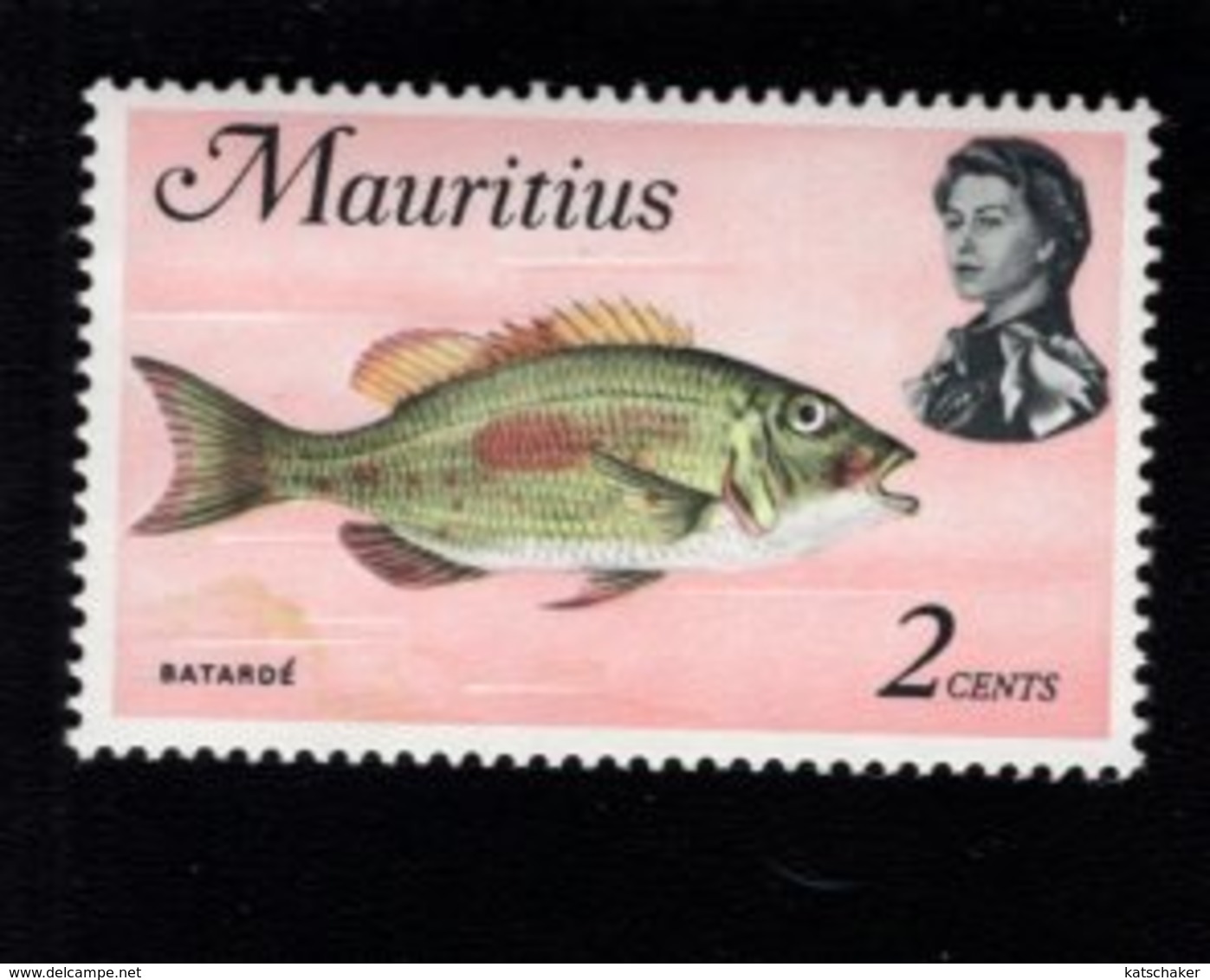 744279377 POSTFRIS  MINT NEVER HINGED EINWANDFREI SCOTT 339 MARINE LIFE - Mauritanie (1960-...)