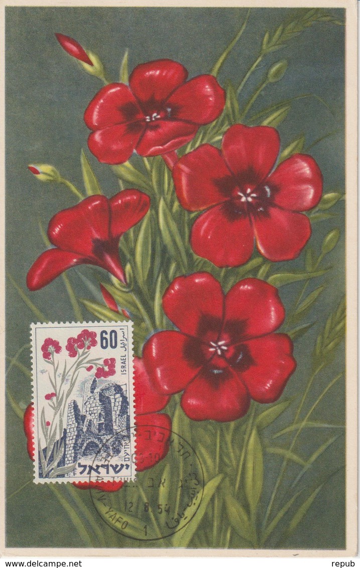 Israel Carte Maximum Fleurs 1954 Lin Rouge 76 - Cartes-maximum