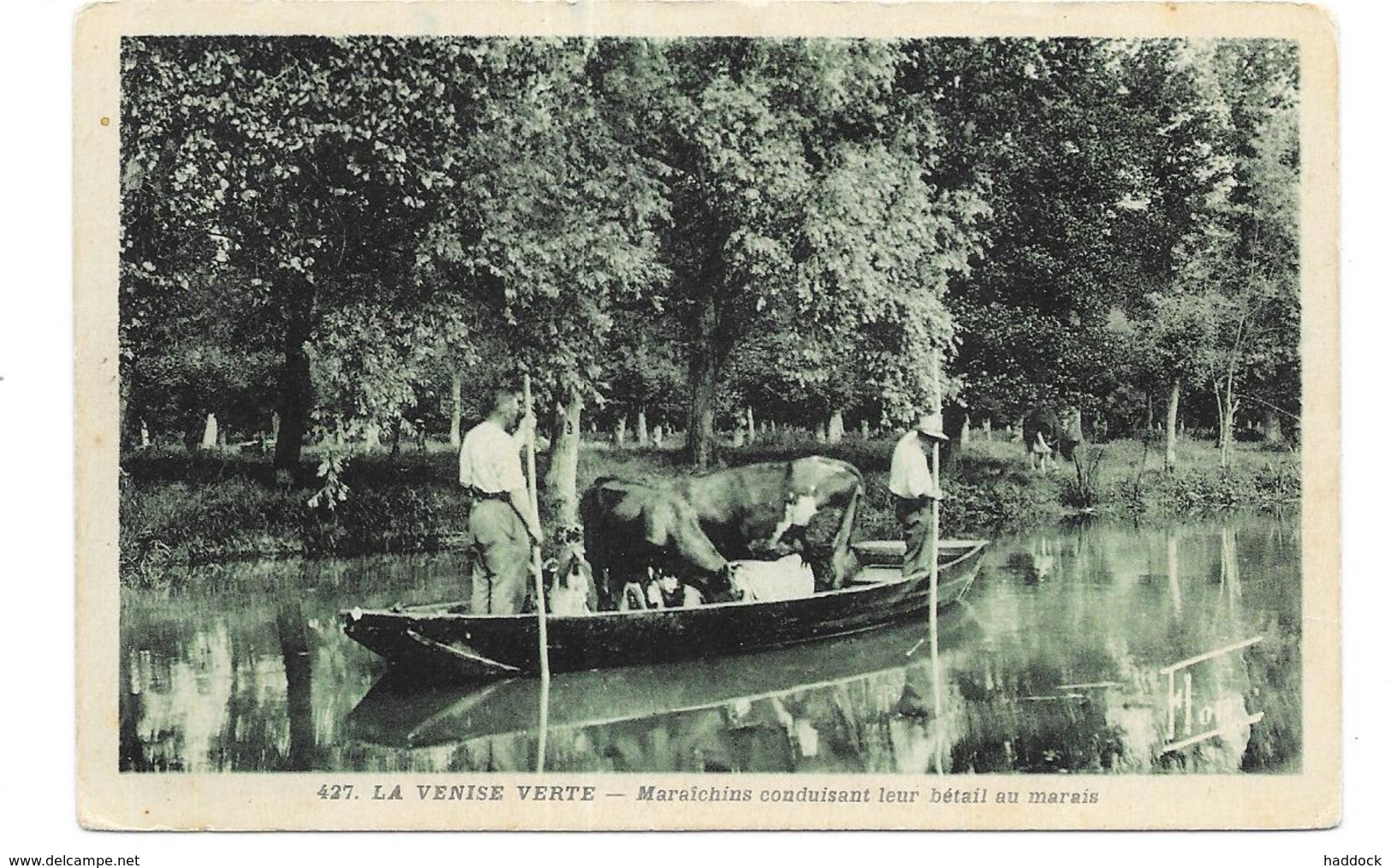 MARAICHINS CONDUISANT LEUR BETAIL AU MARAIS - Other & Unclassified