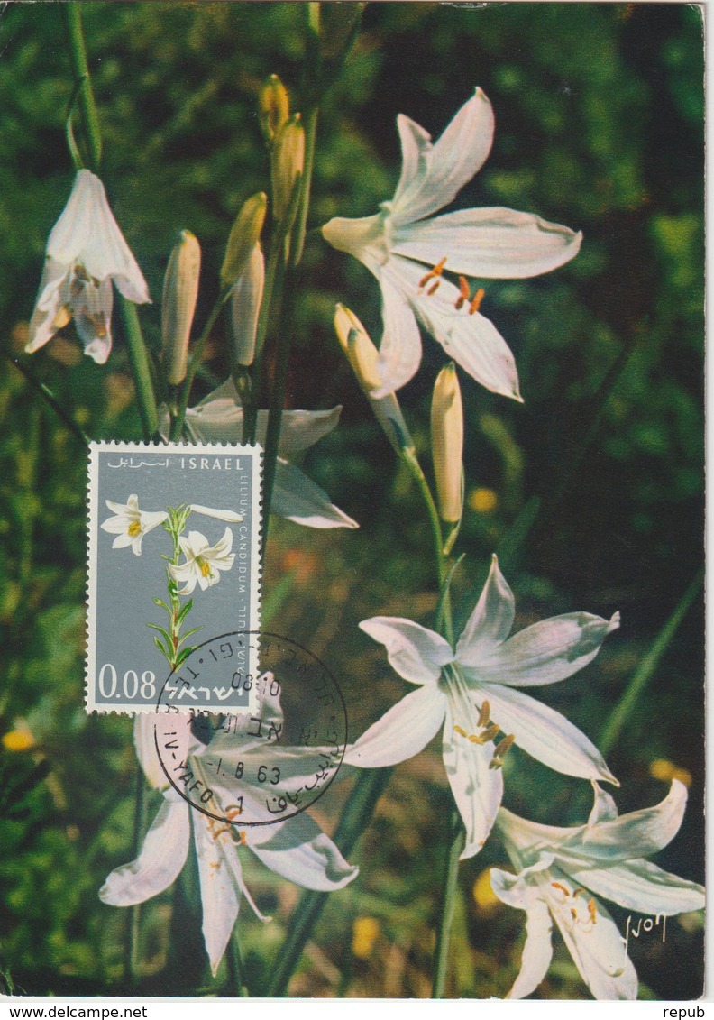 Israel Carte Maximum Fleurs 1963 Lis 234 - Tarjetas – Máxima