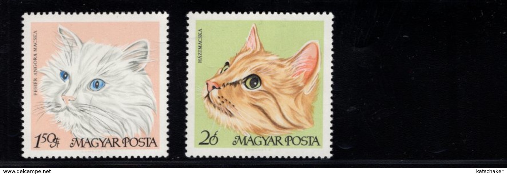 744305726 POSTFRIS  MINT NEVER HINGED EINWANDFREI SCOTT 1880 - 1887 DOMESTIC CAT - Neufs