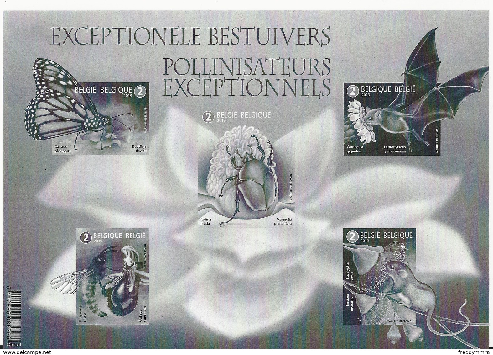 Belgique:BF Noir & Blanc 2019 (Pollinisateurs Exceptionnels) ** - Feuillets N&B Offerts Par La Poste [ZN & GC]