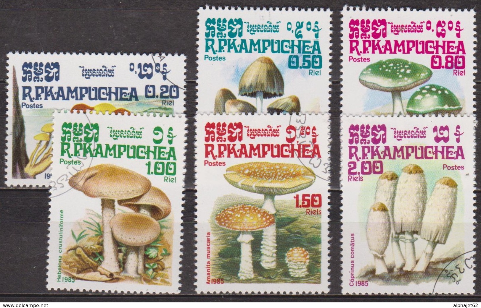 Flore - Champignons - KAMPUCHEA - Gymnopilus, Coprin, Amanite Panthère, Hébélome - N° 576 à 581 - 1985 - Kampuchea