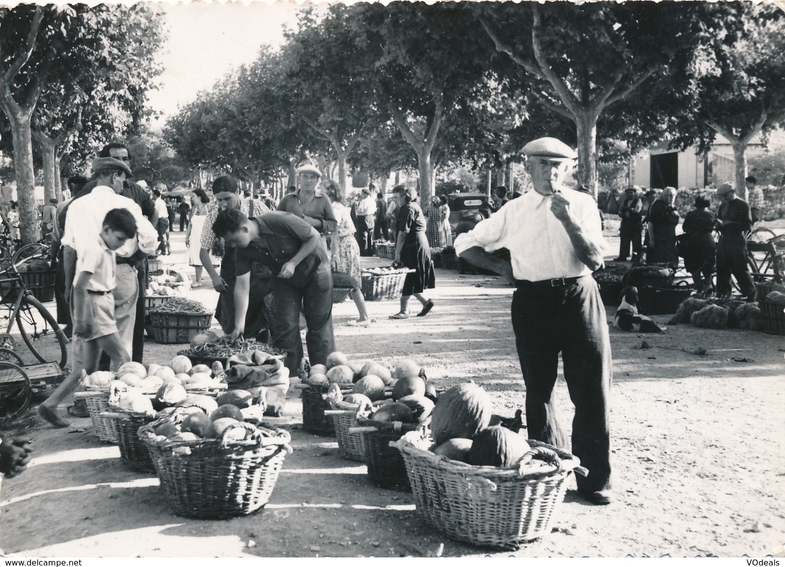 CPA - France - (13) Bouches-du-Rhône - Fontvieille - Le Marché Aux Primeurs - Fontvieille