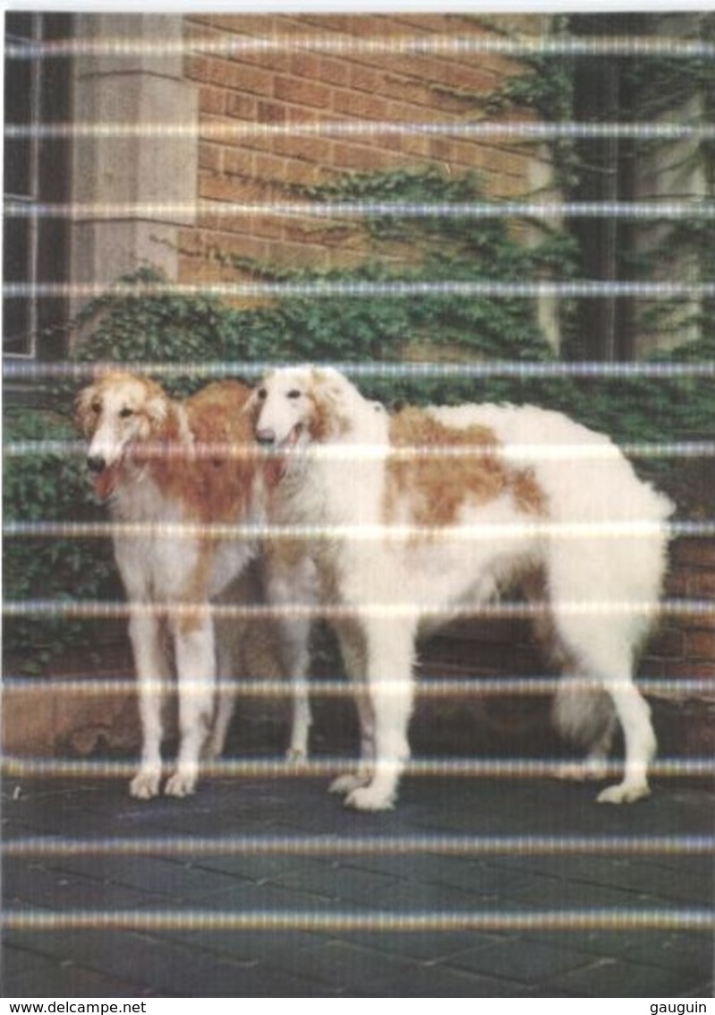 CPM - TOPPAN TOP STEREO - BORZOI - LEVRIER RUSSE - Edition Suisse - Otros & Sin Clasificación