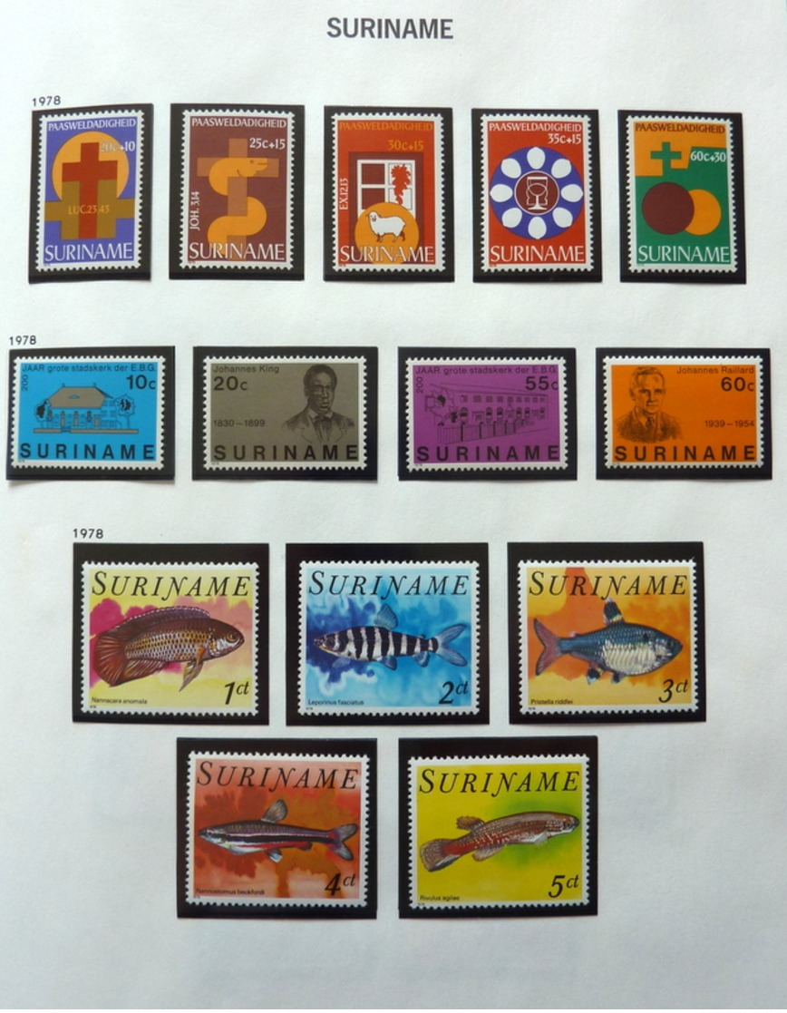 Suriname/Netherlands Indië/Curacao collection in Davo album