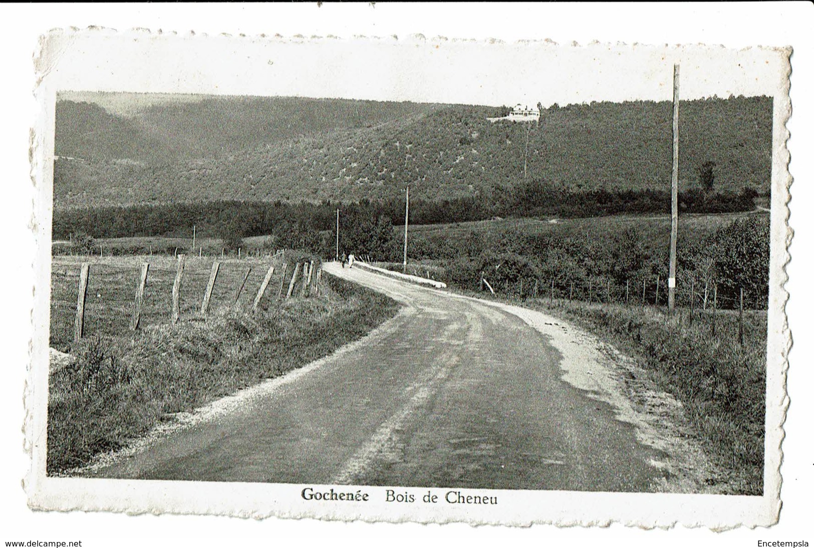 CPA - Carte Postale --BELGIQUE - Gochenée  Bois De Cheneu VM1921 - Doische