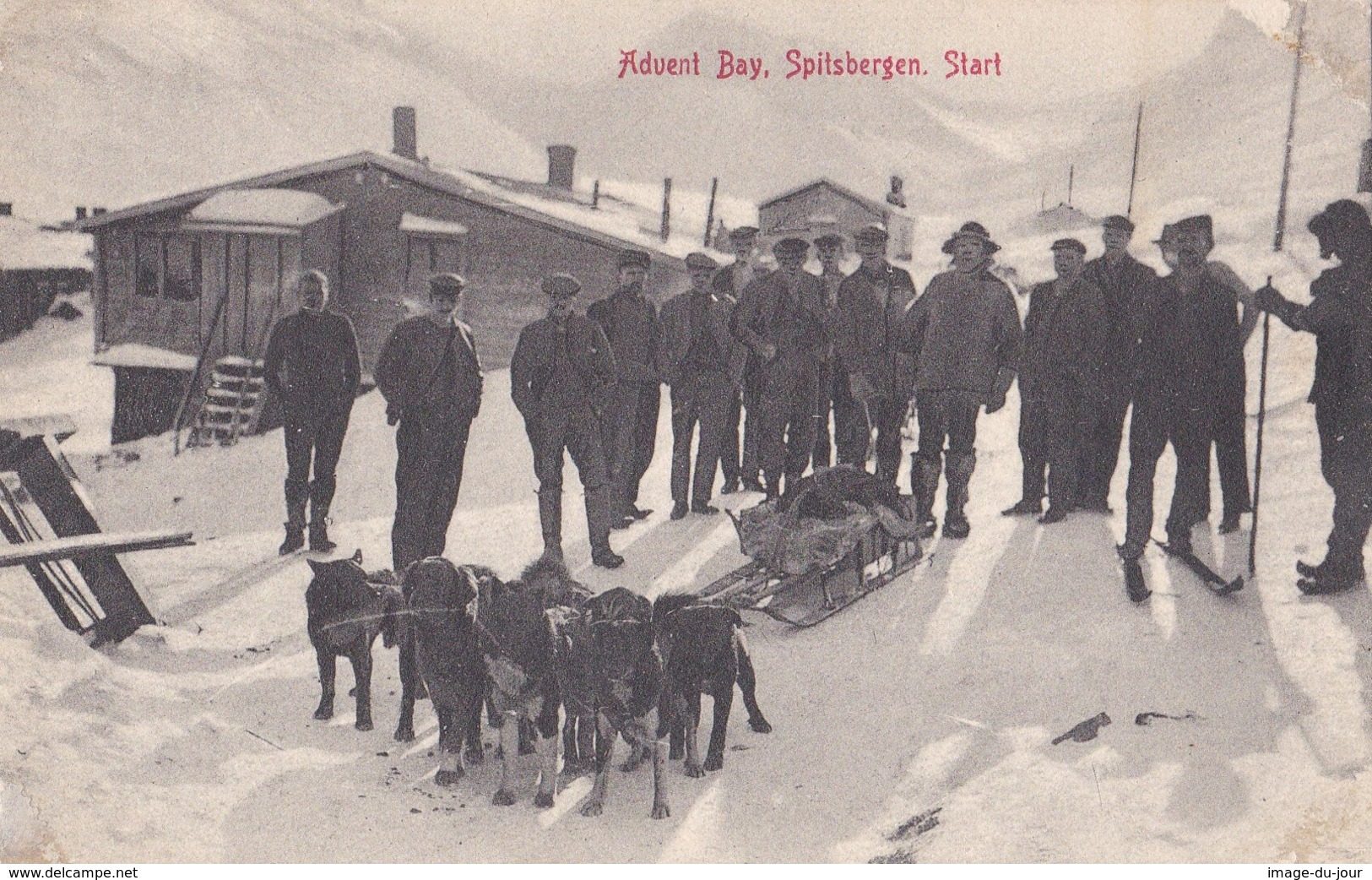 NORVEGE  ADVENT BAY   SPITSBERGEN START ( DOG HITCH ) ATTELAGE DE CHIENS   SPITZBERGEN   NORGE NORWAY - Norvège