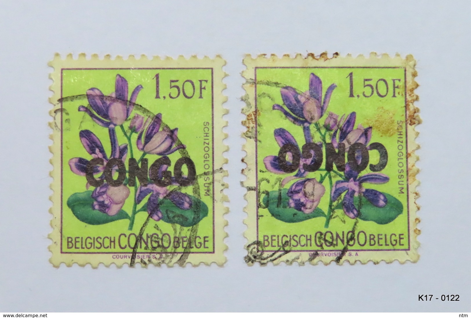 CONGO 1960 1f.50 “Schizoglossum”, Stamp Of Belgian Congo Optd CONGO, Print Error In 1 Stamp. SG 367. Used. - Andere & Zonder Classificatie