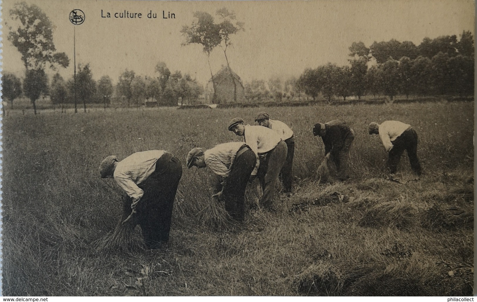 Belgique Au Travail - Culture Du Lin No 9.  // 19?? - Andere & Zonder Classificatie