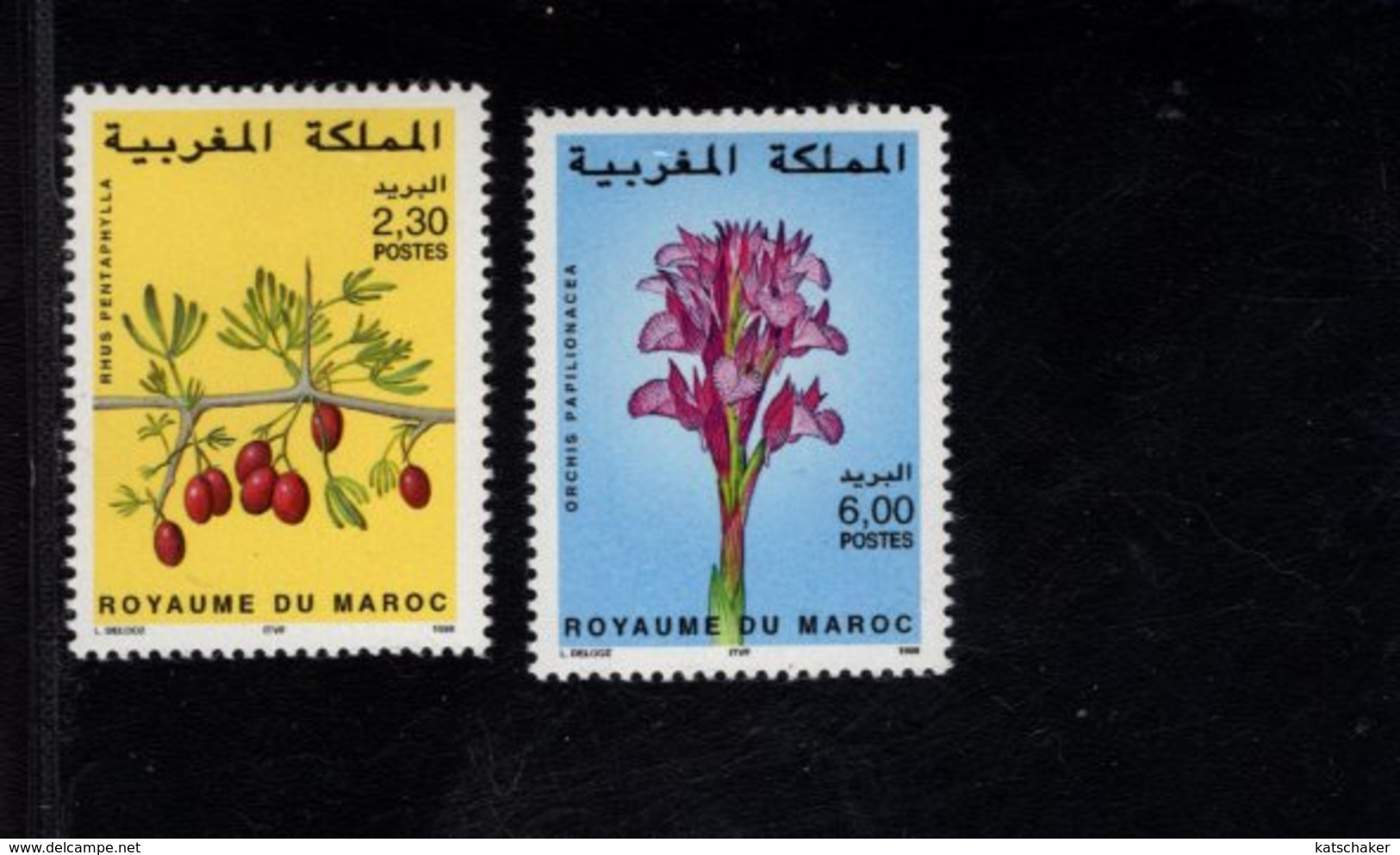 744663473 POSTFRIS  MINT NEVER HINGED EINWANDFREI SCOTT  837 838 FLOWERS ORCHIS - Maroc (1956-...)