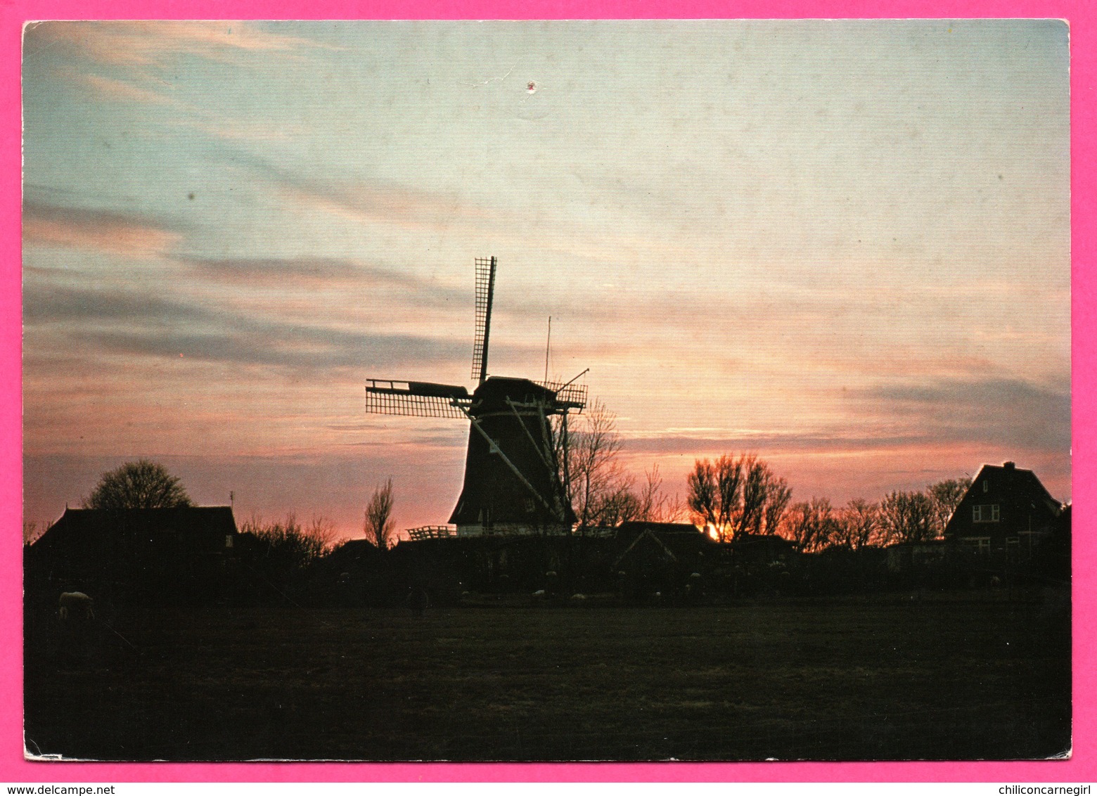 Nederland - Terschelling Avondstemming - Coucher De Soleil - Moulin à Vent - Molen - 1987 - Terschelling