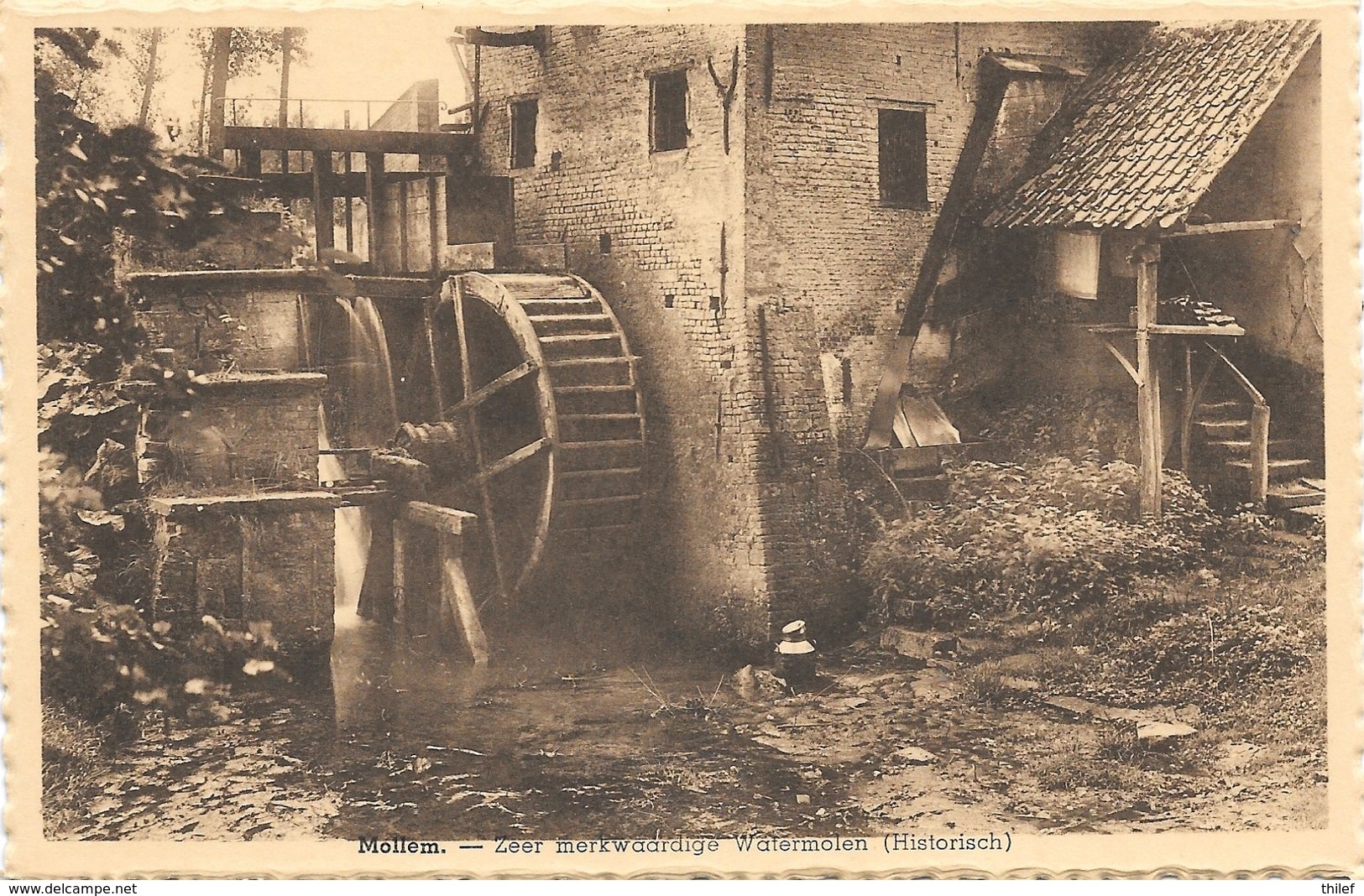 Mollem NA3: Zeer Merkwaardige Watermolen - Asse